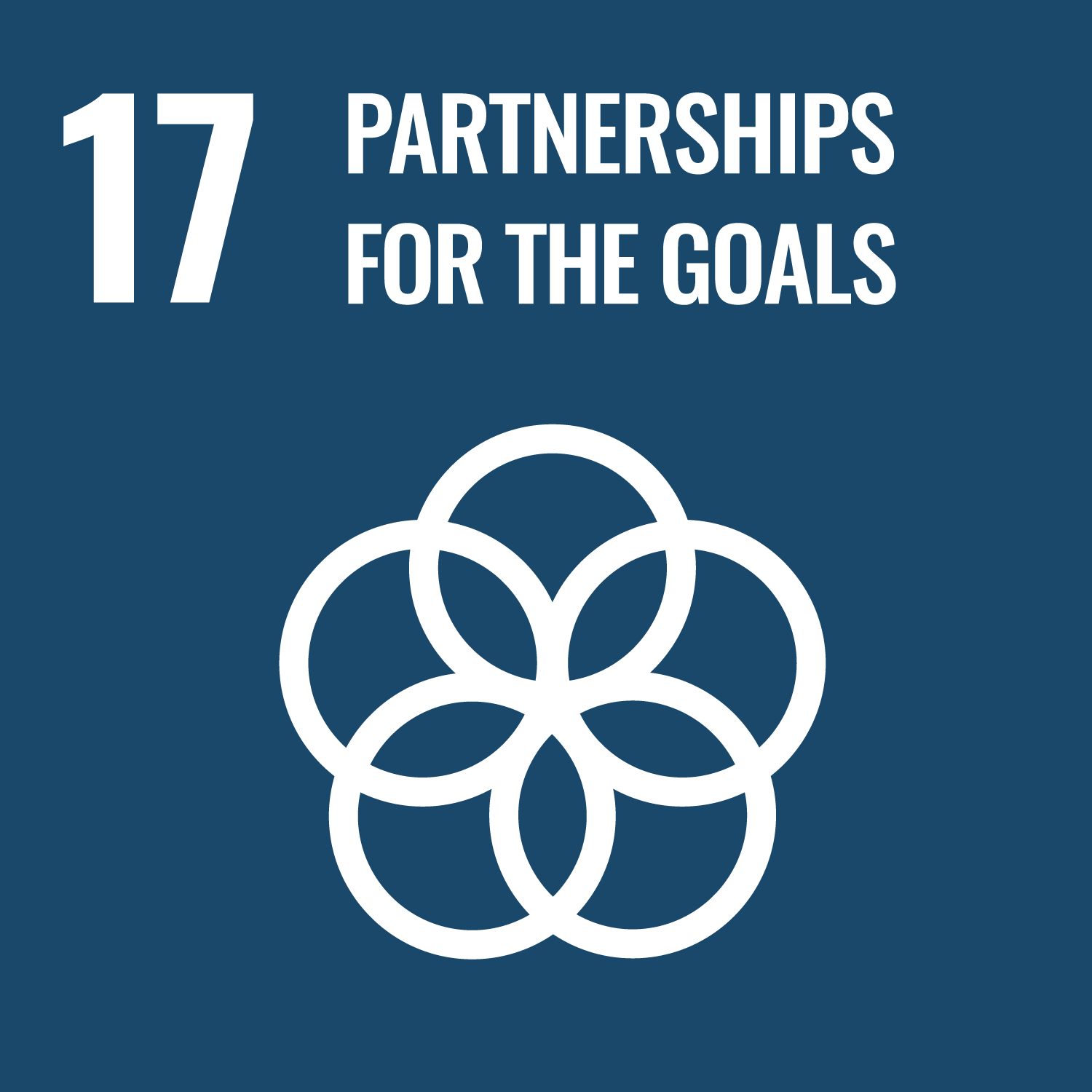 The official logo of the United Nations Sustainable Development Goal #17: Partnerships for the goals.