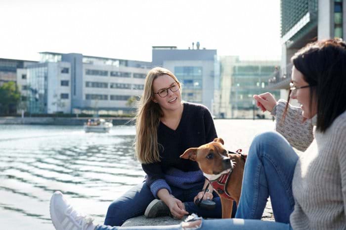 Two women colleagues sit by the city waterfront, chatting in the sun while a dog looks on.